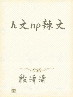 h文np辣文封面