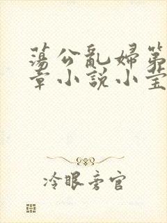 荡公乱妇第51章小说小莹