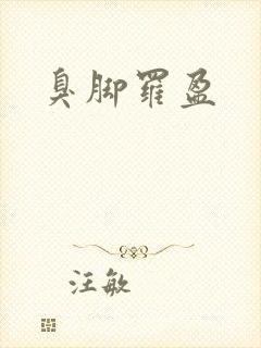 臭脚罗盈