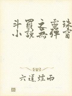 斗罗之灵珠神剑小说无弹窗全文免费阅读封面