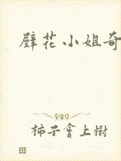 壁花小姐奇遇记