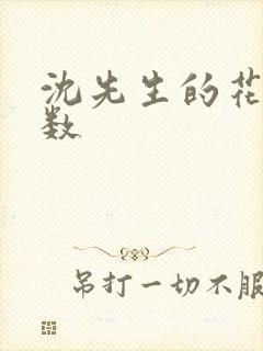 沈先生的花式调数