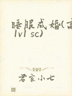 睡服成婚(高h 1v1 sc)