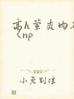高h荤爽肉欲文〈np