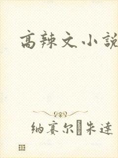 高辣文小说