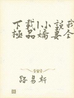 下载l小说我的极品娇妻全部封面