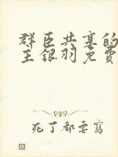 群臣共享的小公主银羽免费阅读封面