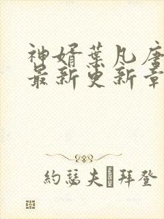 神婿叶凡唐若雪最新更新章节封面