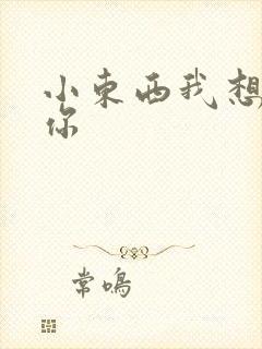 小东西我想弄坏你封面