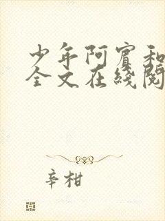 少年阿宾和房东全文在线阅读