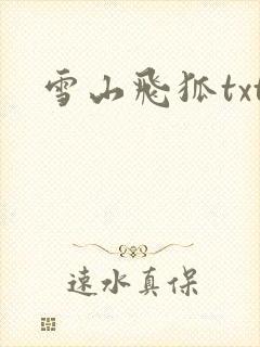雪山飞狐txt封面