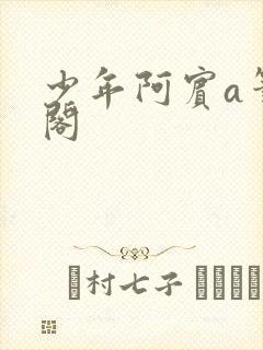 少年阿宾a笔趣阁