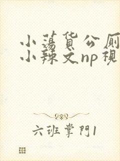 小荡货公厕h文小辣文np视频