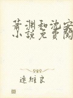 萧渊和沈安安的小说免费阅读