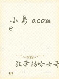 小鸟 acome