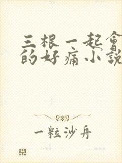 三根一起会坏掉的好痛小说