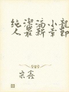 纯洁滴小龙捞尸人最新章节更新封面