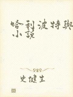 哈利波特与密室小说