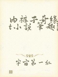 内裤子奇缘txt小说 笔趣阁