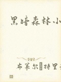 黑暗森林小说