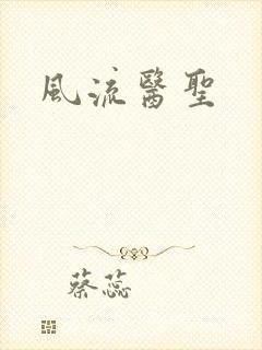 风流医圣