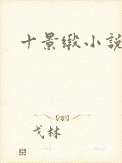 十景缎小说