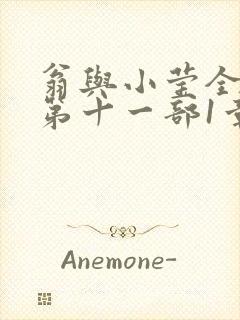 翁与小莹全目录第十一部1章封面