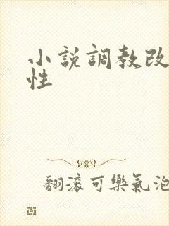 小说调教改造双性