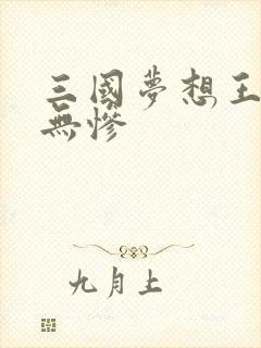 三国梦想王元姬无惨