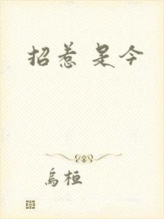 招惹 是今
