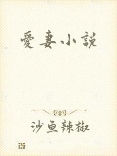 爱妻小说