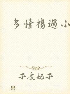 多情杨过小说封面