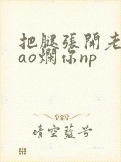 把腿张开老子cao烂你np