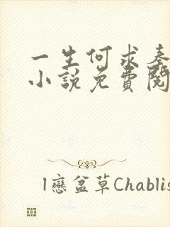 一生何求秦菲雪小说免费阅读