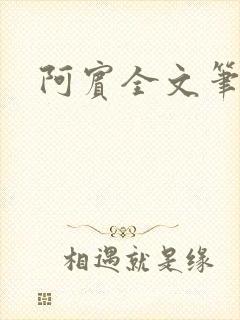 阿宾全文笔趣阁