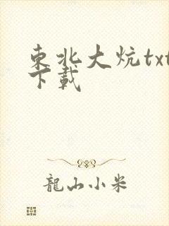 东北大炕txt下载