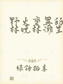 野火变异的父爱林晚林潮生