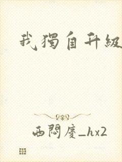 我独自升级小说封面