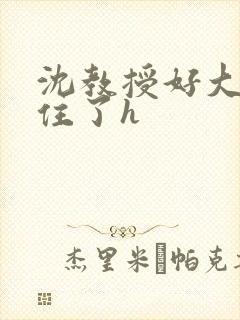 沈教授好大含不住了h