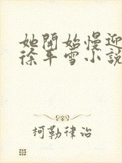 她开始慢迎迎合徐平雪小说封面