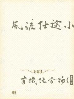 风流仕途小说封面