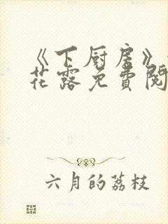 《下厨房》金银花露免费阅读封面