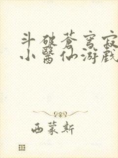 斗破苍穹寂寞的小医仙游戏世界