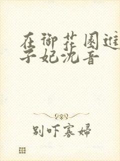 在御花园进入太子妃沈音