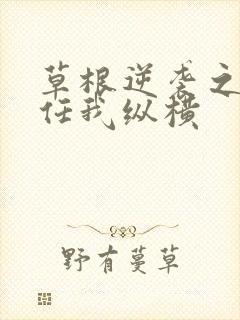 草根逆袭之都市任我纵横