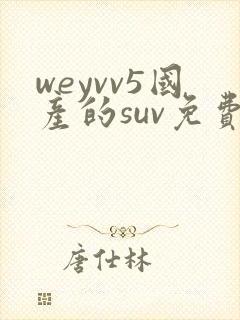 weyvv5国产的suv免费