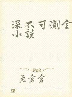 深不可测金银花小说