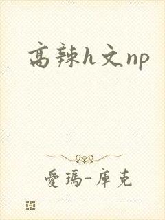高辣h文np