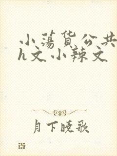 小荡货公共场所h文小辣文