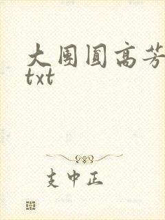 大团圆高芳小说txt